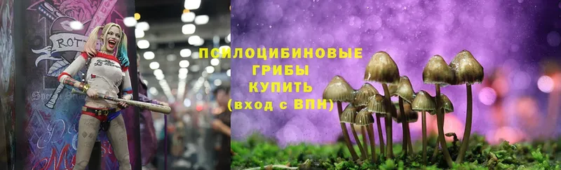 как найти закладки  Ливны  mega зеркало  Галлюциногенные грибы Magic Shrooms 